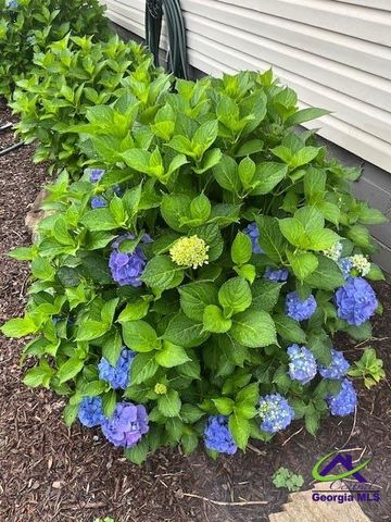 2685 Pineworth Road, Macon, GA 31216