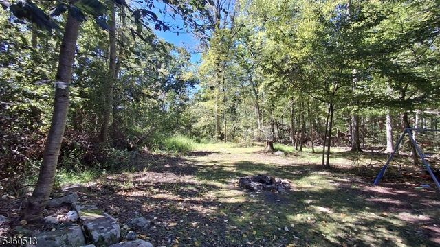 191 Millbrook Rd, Hardwick Twp., NJ 07825
