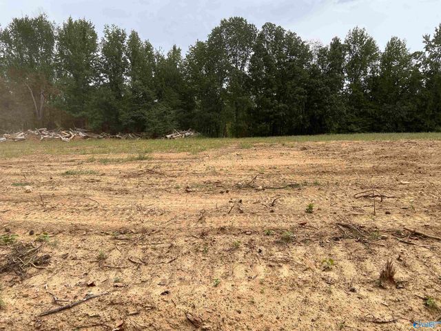 21256 Holland Road, Athens, AL 35614