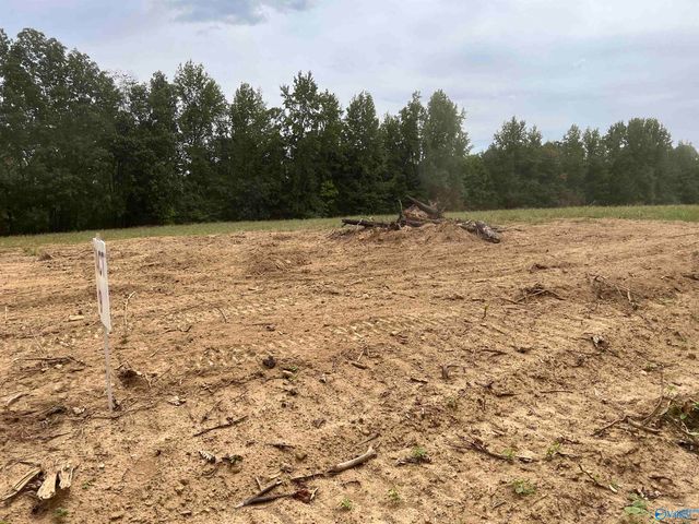 21256 Holland Road, Athens, AL 35614