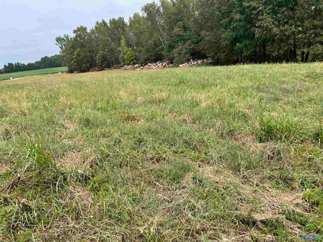 21256 Holland Road, Athens, AL 35614