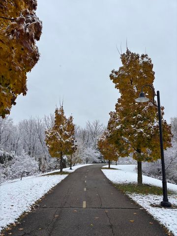 1603 Friendly Avenue, Portage, MI 49002