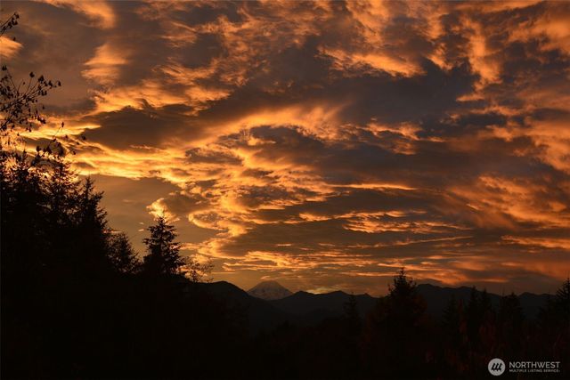 289 Long and Winding Road, Randle, WA 98377