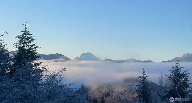 289 Long and Winding Road, Randle, WA 98377