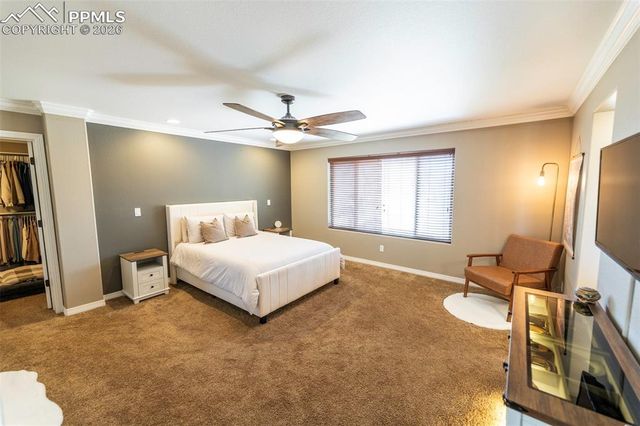 2415 Reed Grass Way, Colorado Springs, CO 80915