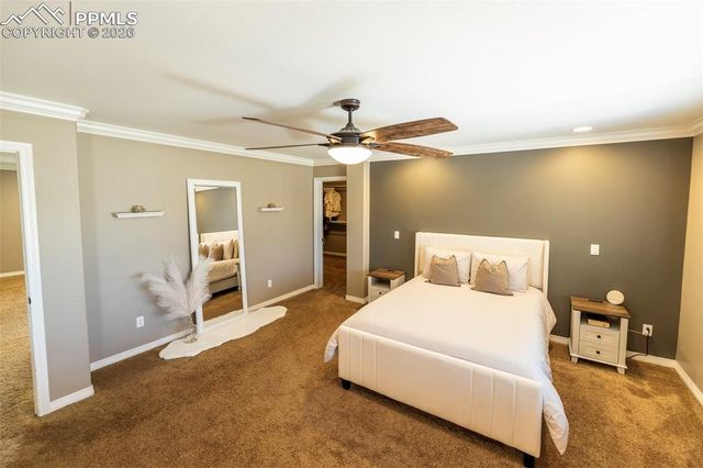 2415 Reed Grass Way, Colorado Springs, CO 80915