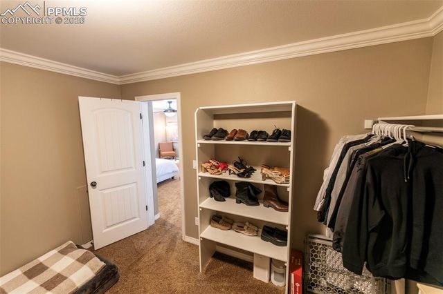 2415 Reed Grass Way, Colorado Springs, CO 80915