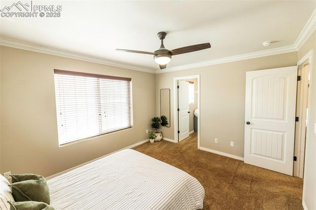 2415 Reed Grass Way, Colorado Springs, CO 80915