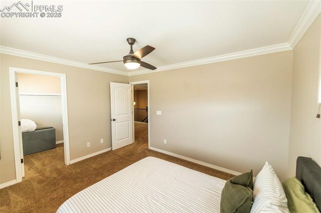 2415 Reed Grass Way, Colorado Springs, CO 80915