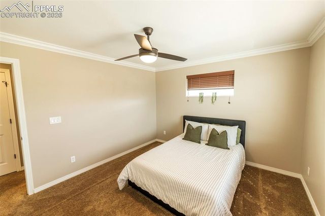 2415 Reed Grass Way, Colorado Springs, CO 80915