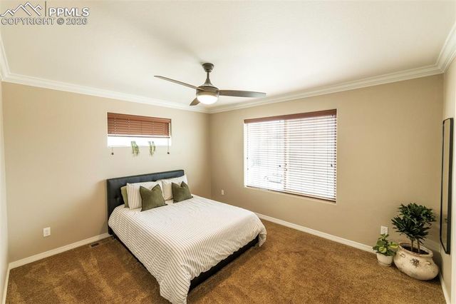 2415 Reed Grass Way, Colorado Springs, CO 80915