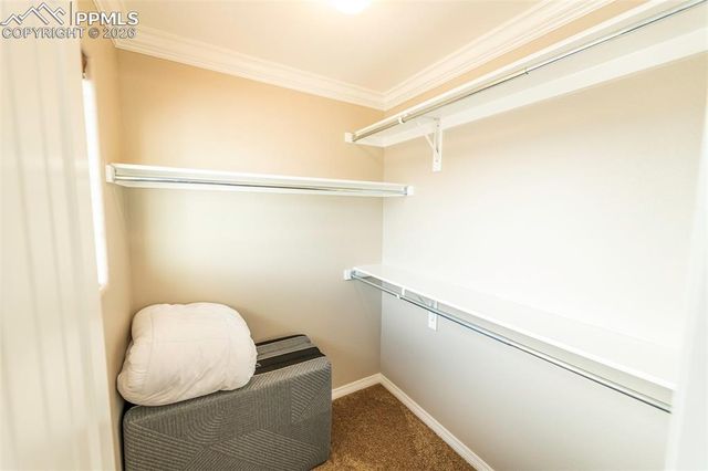 2415 Reed Grass Way, Colorado Springs, CO 80915