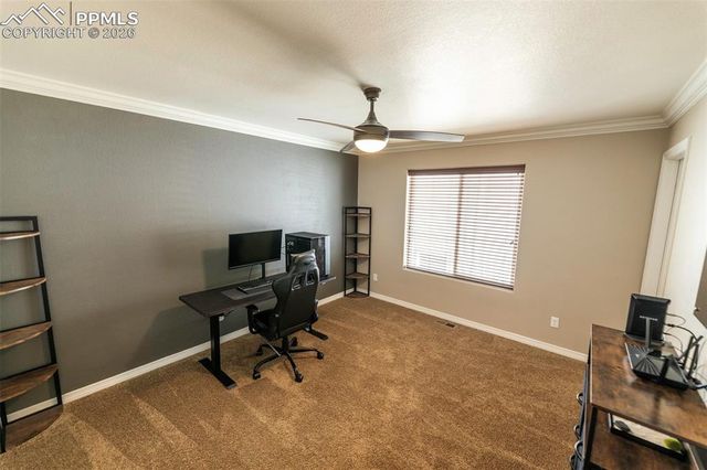 2415 Reed Grass Way, Colorado Springs, CO 80915