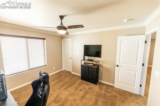 2415 Reed Grass Way, Colorado Springs, CO 80915