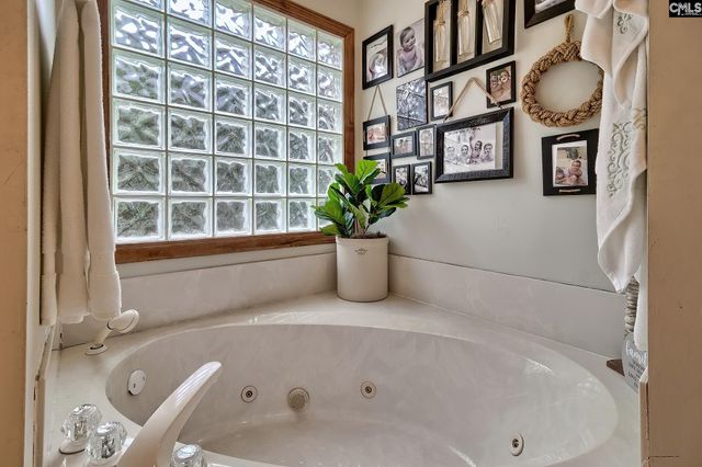 215 Westridge Court, Chapin, SC 29036