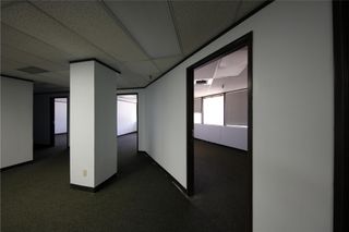 9800 N Lamar BLVD 240, Austin, TX 78753