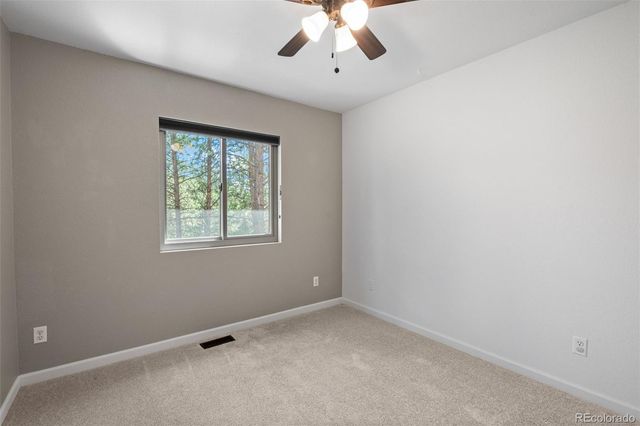 34431 Chilton Avenue, Pine, CO 80470