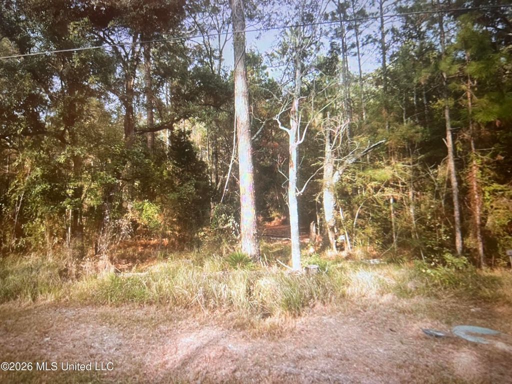 3074 Fifth Street, Bay Saint Louis, MS 39520