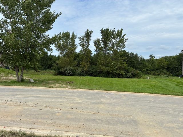 25135 S Tuscany Drive, Monee, IL 60449