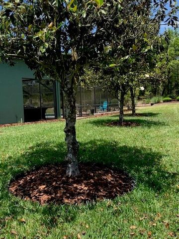 1 MINTWOOD POINT, Homosassa, FL 34446