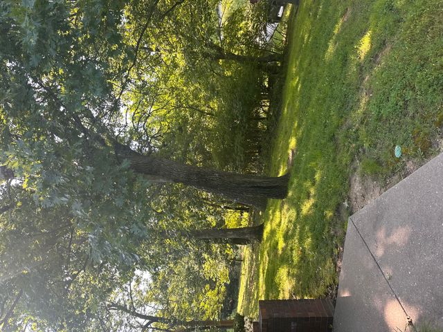 154 A Scofield Avenue, Forsyth, MO 65653