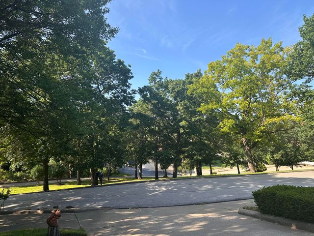 154 A Scofield Avenue, Forsyth, MO 65653
