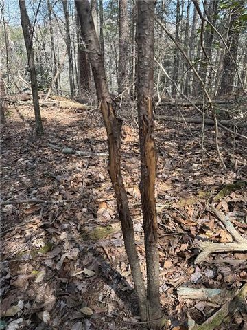 0 Fisher Road, Pinnacle, NC 27043