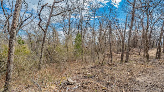 TBD Conwell Drive, Azle, TX 76020