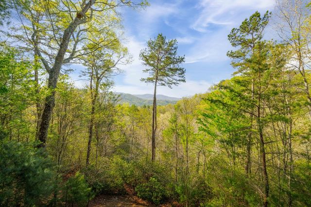 258 Dupont Drive, Blue Ridge, GA 30522
