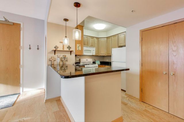 1715 Pavilion Way 206, Park Ridge, IL 60068