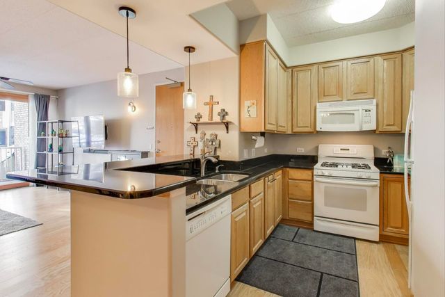 1715 Pavilion Way 206, Park Ridge, IL 60068