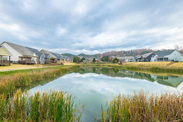 404 Willow Grove Court 63, Ringgold, GA 30736