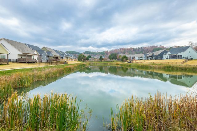 404 Willow Grove Court 63, Ringgold, GA 30736