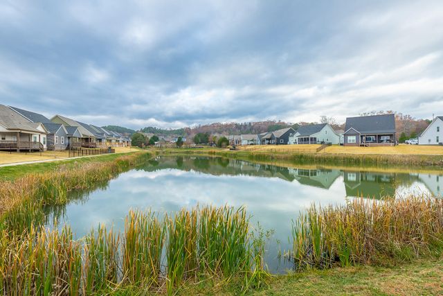 404 Willow Grove Court 63, Ringgold, GA 30736