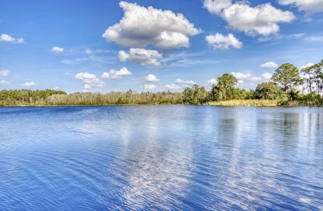 515 RUM RUN 33303, Davenport, FL 33897