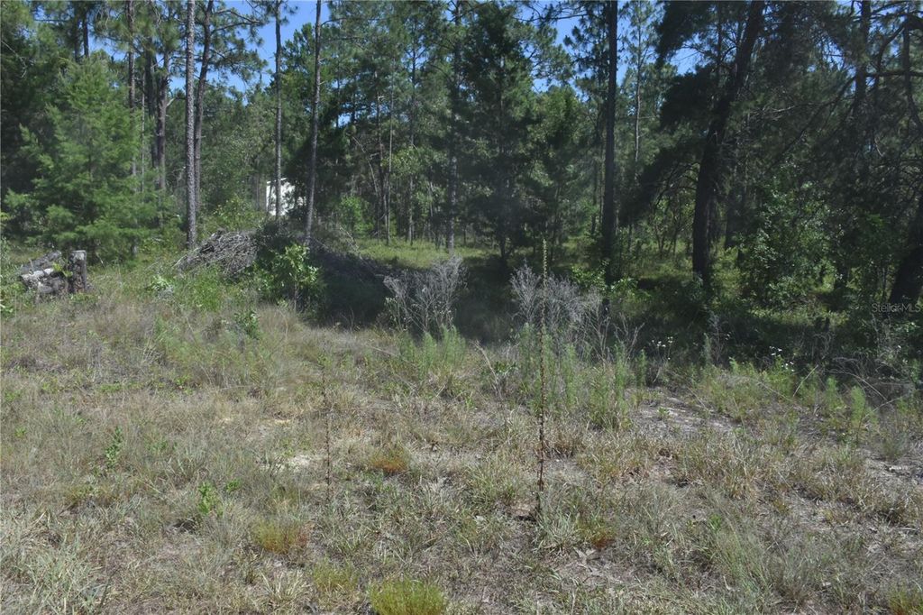 SE 6TH LANE, Williston, FL 32696