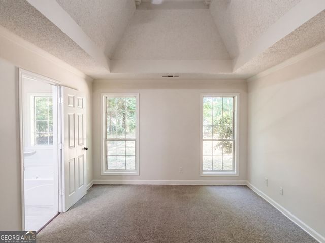 342 Newcastle Vista, Mcdonough, GA 30253