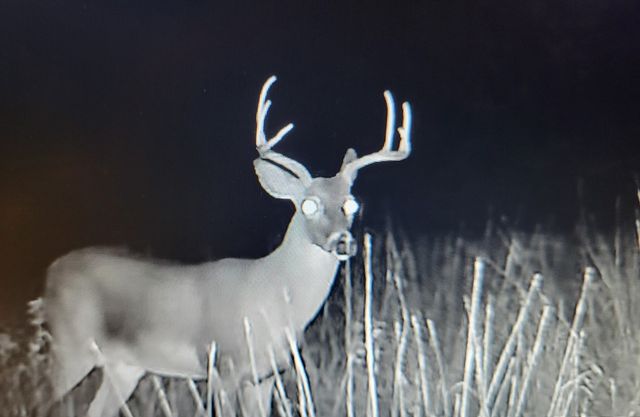 2190 CR 650, Carta Valley, TX 78880