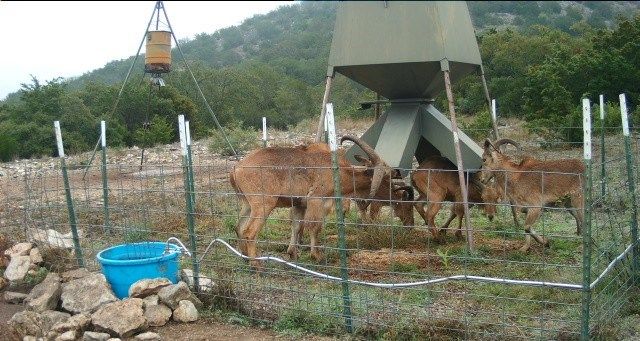 2190 CR 650, Carta Valley, TX 78880