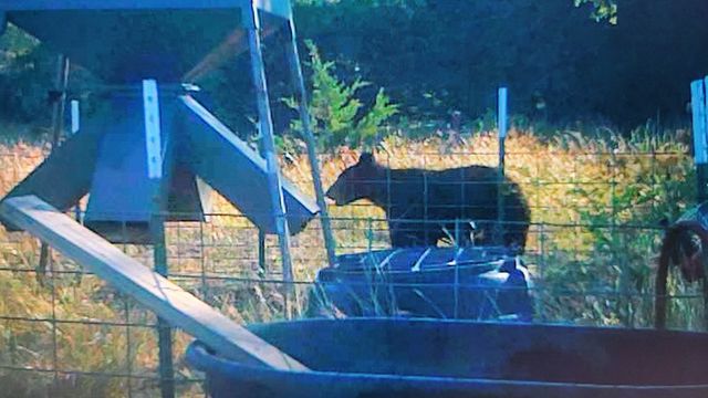 2190 CR 650, Carta Valley, TX 78880