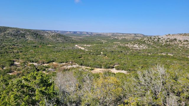 2190 CR 650, Carta Valley, TX 78880