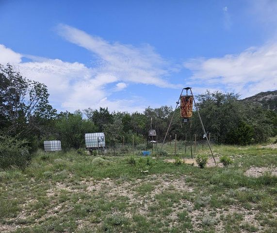 2190 CR 650, Carta Valley, TX 78880