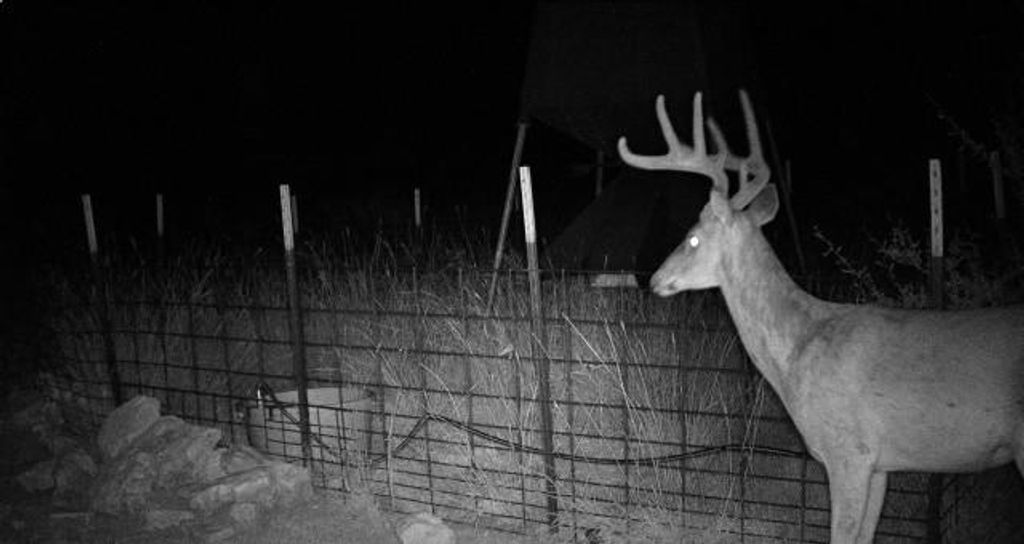 2190 CR 650, Carta Valley, TX 78880