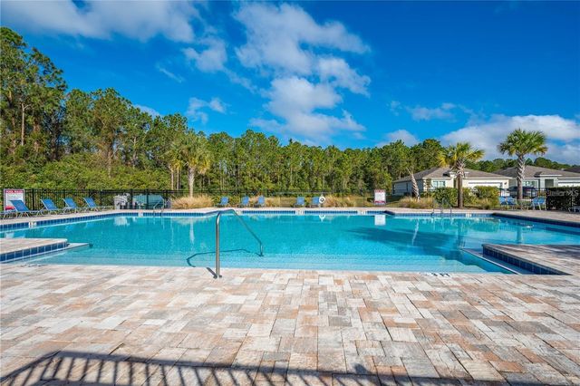 1242 IGUANA LOOP, Davenport, FL 33897