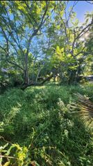 0 ERIE ST S, St Petersburg, FL 33712