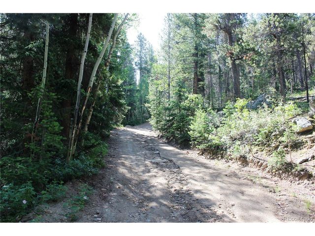 31 Sunflower Rd, Black Hawk, CO 80422
