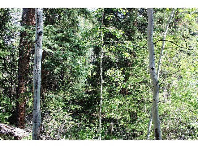 31 Sunflower Rd, Black Hawk, CO 80422