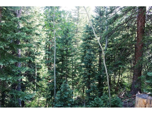 31 Sunflower Rd, Black Hawk, CO 80422