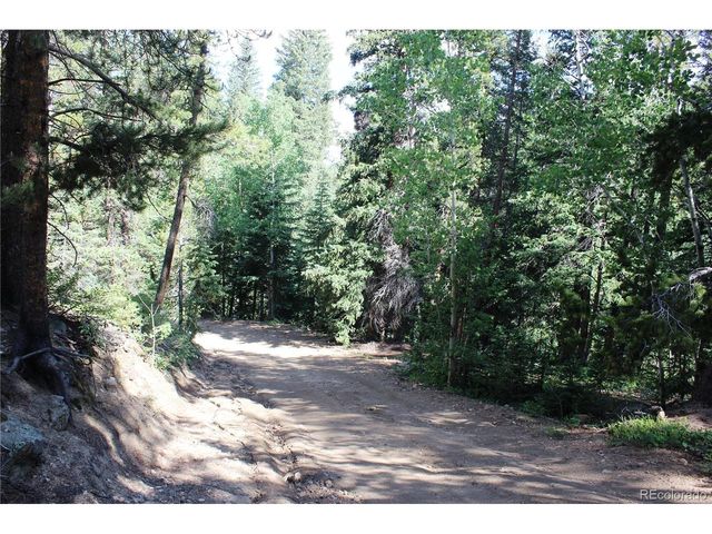 31 Sunflower Rd, Black Hawk, CO 80422