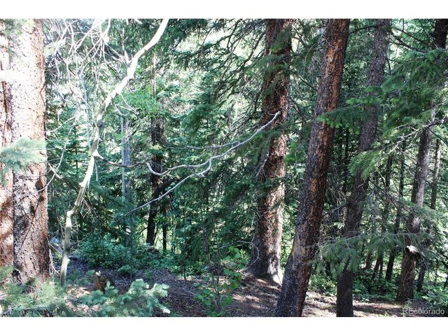 31 Sunflower Rd, Black Hawk, CO 80422